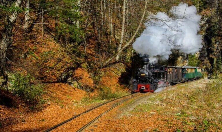 With the steam train through Transylvania- 8 Day - What Makes This Tour Special?