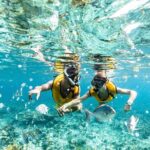 With Turtles, Shipwreck, Cenote, and Reef and Transport Included - Practical Considerations and Downsides