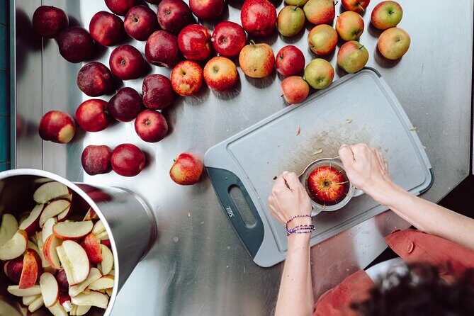 Wittenburg: Elephant Gin's Distillery Tour near Hamburg - Who Is This Tour Best For?