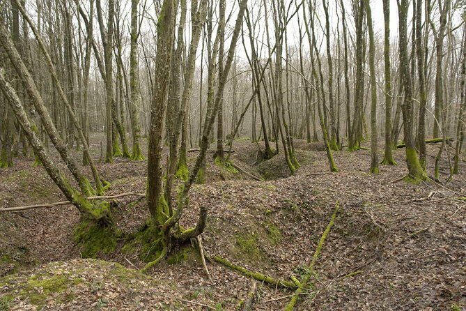 World War 1 Walk Through Trenches and Bunkers - Who Should Consider This Tour?