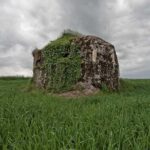 World War I Tour of Northern France; the Argonne Forest - What to Expect from the WWI Tour of the Argonne Forest