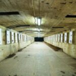 Wrocaw to Rock City in Adrspach and Project Riese day trip - The Experience From a Traveler’s Perspective