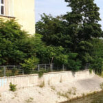 Wrocaw: Venice of the North! Monuments on the Odra River 2h - Practical Tips for Making the Most of the Tour