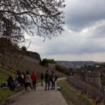 Wuerzburg: Vineyard rally with wine tasting and group dynamics - A Closer Look at the Würzburg Vineyard Rally Experience