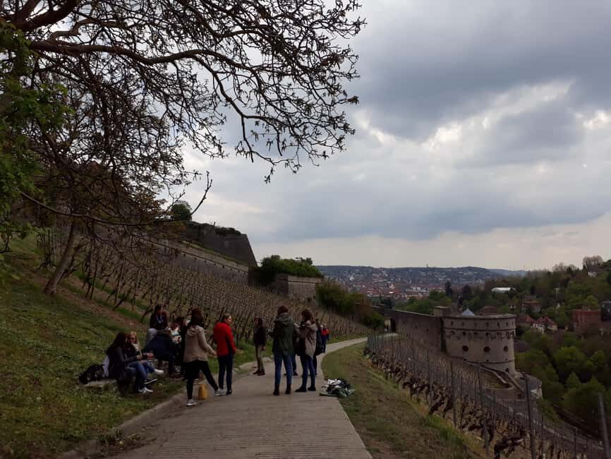 Wuerzburg: Vineyard rally with wine tasting and group dynamics - A Closer Look at the Würzburg Vineyard Rally Experience