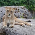 Wuppertal: Admission to the Green Zoo Wuppertal - What Do the Reviews Say?