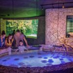 Xcaret Park Day Trip, transportation and Cultural Night Show - Final Thoughts: Who Will Love Xcaret?