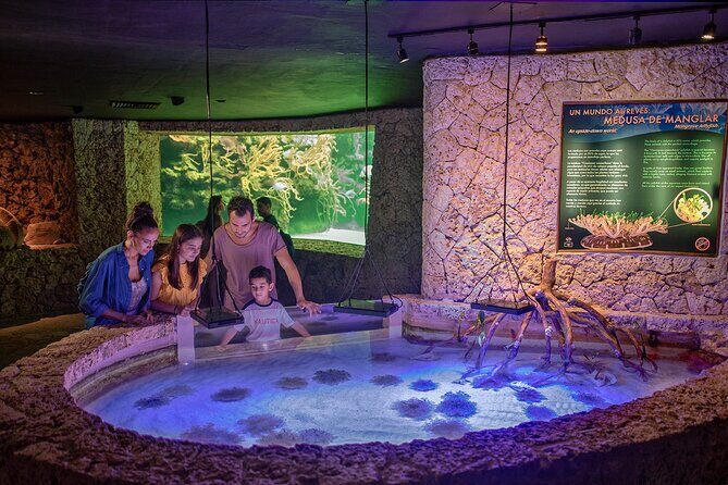 Xcaret Park Day Trip, transportation and Cultural Night Show - Final Thoughts: Who Will Love Xcaret?