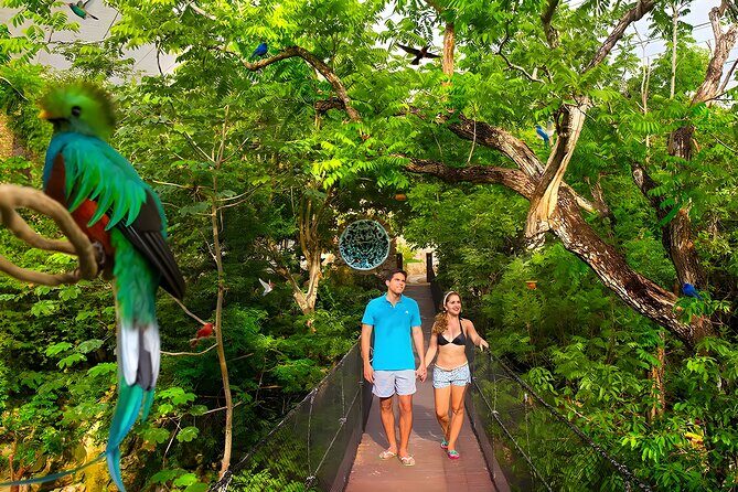 Xcaret Park Plus Tour! Nature, Culture and Nightshow from Cancun - Who Is This Tour Best For?