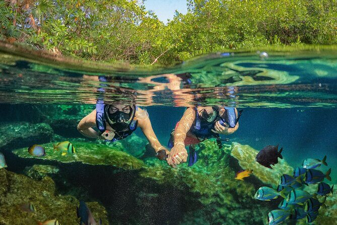 Xel-Ha Park Admission Tickets - Dining & Refreshments: The Food Experience