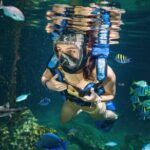 Xel-Ha Tickets with Transportation included - The Realities of Visiting Xel-Há