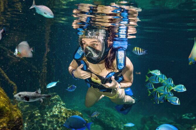 Xel-Ha Tickets with Transportation included - The Realities of Visiting Xel-Há