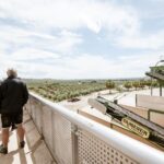 XXI Century Olive Oil Mill Tour - The Itinerary Breakdown