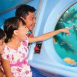 Yellow Semi-Submarine Tour of Catalina Island From Avalon - The Good and the Not-So-Good