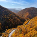 Yerevan to Tbilisi Day Tour: Unveiling Transcultural Wonders - What Makes This Tour Stand Out?