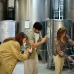 Yerevan: Wine Tasting and Vineyard Lunch at Voskeni Winery - The Value of This Experience