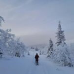 Ylläs: Guided Nordic Skiing Tour in Lapland Wilderness - The Experience in Detail