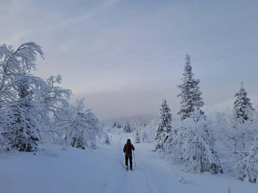 Ylläs: Guided Nordic Skiing Tour in Lapland Wilderness - The Experience in Detail