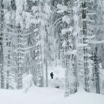 Ylläs: Guided Snowshoeing Adventure to Kesänki Fell - What to Expect from the Itinerary