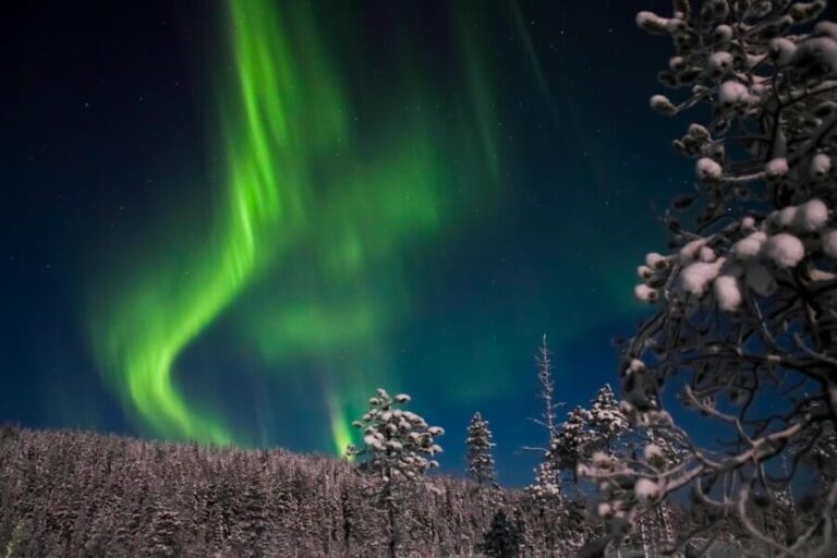 Ylläs: Seeking Northern Lights Photo Tour - Is It Good Value for the Price?