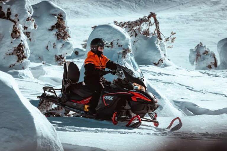 Ylläs: Wilderness Snowmobile Tour - The Scenic Beauty