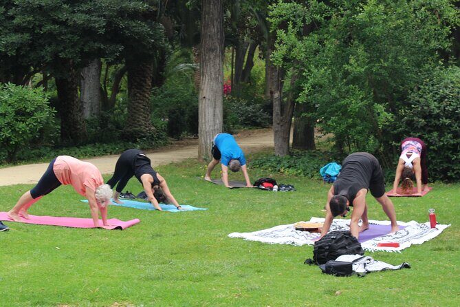 Yoga at María Luisa Park in Seville - Final Thoughts