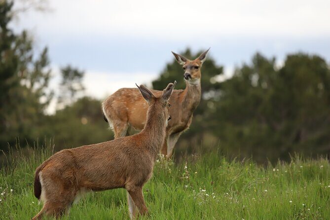 Yoga & Forest Bathing Day Retreat - The Sum Up