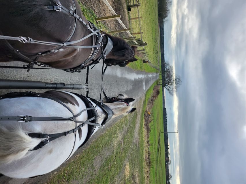 York: Horse Drawn Carriage ride & Cream Tea - The Cream Tea: A Classic Touch