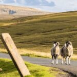 Yorkshire Dales National Park Driving Tour with an APP - The Value of the App and Guided Flexibility