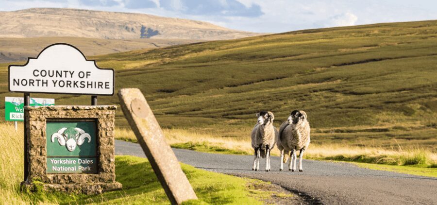Yorkshire Dales National Park Driving Tour with an APP - The Value of the App and Guided Flexibility