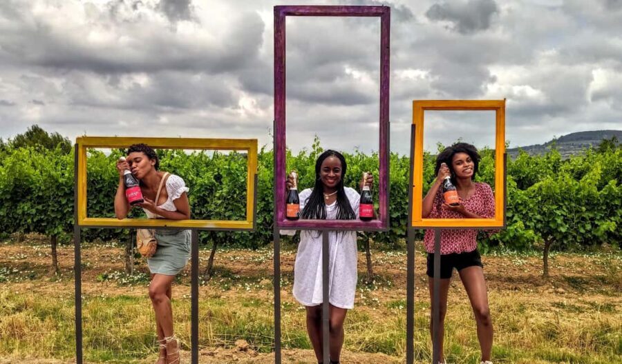 Your Cava, Your Story Wine workshop experience at Artcava - What Travelers Say