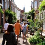 Your Own Holland. Haarlem: A Tour Around Unusual Places - The Practical Side: What to Expect