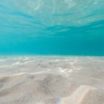 Zadar: 4-Islands Escape & Hidden Shipwreck with Lunch - Things to Keep in Mind