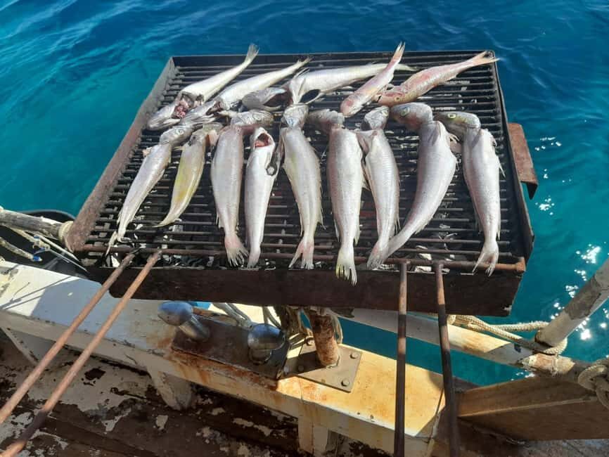 Zadar: Fishing Boat Trip with Lunch and Swimming Included - The swimming and beach stops