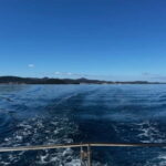 Zadar: Half-day trip boat with drinks and snorkeling - What’s Included and What to Expect