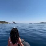 Zadar: Island Luxury Speedboat Tour with Snorkeling - The Practical Side: What’s Included and What You Should Know