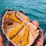 Zadar: Sakarun beach and sunken ship Michelle - Who Is This Tour Best For?