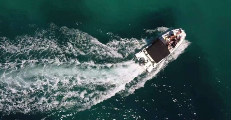 Zadar: Ugljan, Oljak and kolji Islands Private Boat Tour - What the Reviews Say: Authentic Voices