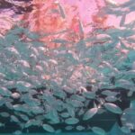 Zadar: Ultimate Island Adrenaline Boat Ride - A Thorough Look at the Itinerary