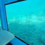 Zadar: Yellow Semi-Submarine Underwater Exploration Tour - Why This Tour Is Worth Considering