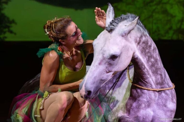 Zagal Cabaret - A one-of-a-kind equestrian show - What to Expect from Your Visit