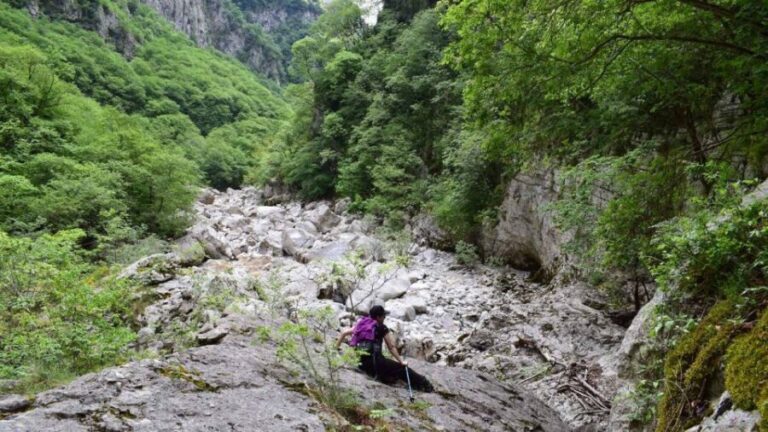 Zagori: Hiking In Vikos Gorge - Who Would Enjoy This Tour?