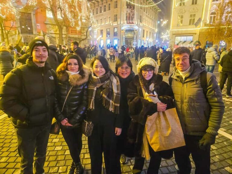 Zagreb: Ljubljana and Lake Bled Christmas Market Day Tour - The Practical Details