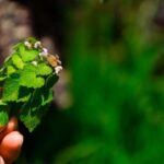 Zagreb: Science Tours - Early Bird - Is It Worth the Cost?