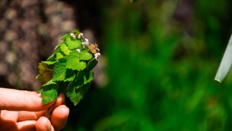 Zagreb: Science Tours - Early Bird - Is It Worth the Cost?