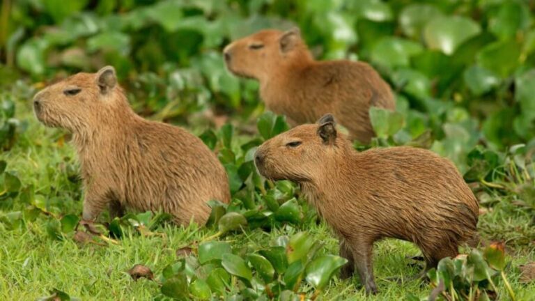 Zagreb: Science Tours, Zagreat Outdoors - Who Would Love This Tour?