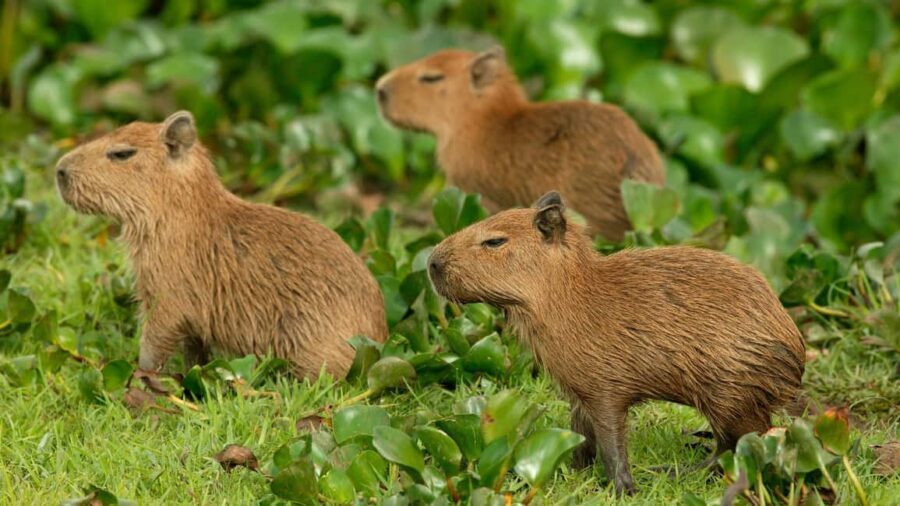 Zagreb: Science Tours, Zagreat Outdoors - Who Would Love This Tour?