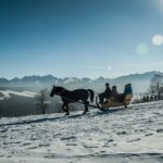 Zakopane and Horse Sleigh Ride in the countryside, private tour from Krakow - The Practical Details and What You Get for Your Money