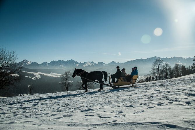 Zakopane and Horse Sleigh Ride in the countryside, private tour from Krakow - The Practical Details and What You Get for Your Money