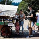 Zakopane Guided Tour or Thermal Baths with Transfer from Krakow - Chocholowskie Thermal Pools: Relaxation and Healing